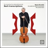 Bach Transcriptions: Six Concertos for Violoncello Piccolo artwork