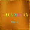 Raça Negra, Vol. 4 album lyrics, reviews, download