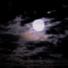 Máté Horváth - Moonlight