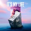It's My Life (Dance Edit) - Single