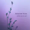 Selected Trios - EP album lyrics, reviews, download
