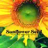 Sunflower Seed: Plant the Happiness Within, Mindfulness Meditation for Anxiety, Set Your Spirit Free, Never Give Up album lyrics, reviews, download