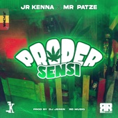 JR Kenna - Proper Sensi