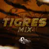 Tigres Mix - Single album lyrics, reviews, download