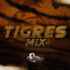 Tigres Mix - Single