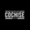 Cochise (feat. Christee Palace) - GentleWolf lyrics