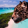 Deep Sound Effect - Summer Mood (Maxim Andreev Remix)