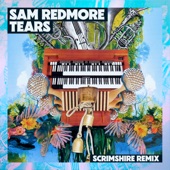Tears (Scrimshire Remix) artwork