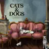 Cats and Dogs (feat. Kojey Radical) - Single album lyrics, reviews, download