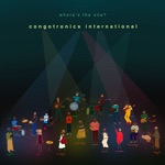 Congotronics International - Kule Kule Redux (feat. Deerhoof, Juana Molina, Kasai Allstars, Konono No 1, Wildbirds & Peacedrums & Skeletons)