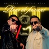 Plina de fasoane (feat. Denis Nuca) - Single