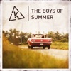The Boys of Summer - Single