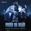 Stream & download Punto de Vista (Remix) - Single