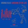 Sunshine of My Life - EP, 1995