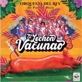 El Lechón Vacunao artwork