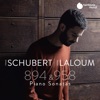 Schubert: Sonatas D. 894 & D. 958