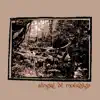 Nas fragas do río eume - Single album lyrics, reviews, download