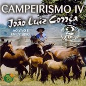 Campeirismo IV artwork