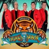 Los Tigres Del Sabor - Se Acabo la Farsa