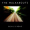 Blue Head Flame - The Walkabouts lyrics