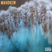 Wavdvzn artwork