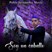 Soy un Caballo artwork