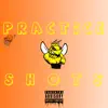 Practice Shots - EP album lyrics, reviews, download