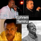 Ethiopian Music Endegena New Collection artwork