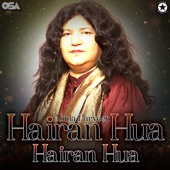 Hairan Hua Hairan Hua artwork