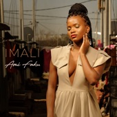 Imali artwork