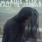 Falli Til Jarðar - Marius Ziska lyrics
