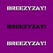 Breezyzay (feat. BreezyDre & Kingphattender) - Rg/Ya lyrics