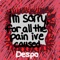 I'm Sorry, for All the Pain I've Caused - Despo lyrics