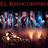El Reencuentro artwork