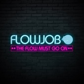 Presentation (Flowjob Remix) artwork