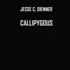 Callipygous - Single album lyrics, reviews, download