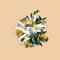 Flowers - Tragic Hero & Weathrman lyrics