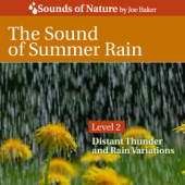 The Sound of Summer Rain - Joe Baker