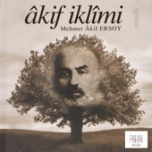 Akif İklimi 1 artwork