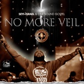 No More Veil artwork