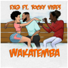 Wakatemba (feat. Tocky Vibes) - ExQ