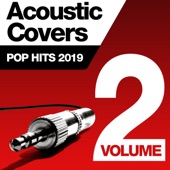 Acoustic Covers: Pop Hits 2019, Vol. 2 artwork