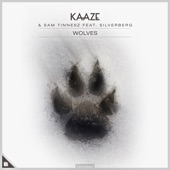 Wolves (feat. Silverberg) artwork