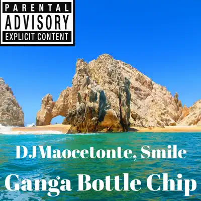 Ganga Bottle Chip - Single - Smile