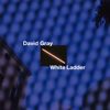 White Ladder (20th Anniversary Edition) - David Gray