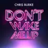 Don't Wake Me Up song lyrics