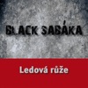 Ledová růže - Single