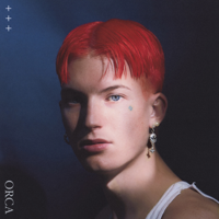 Gus Dapperton - Orca artwork