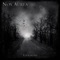 Nights in Solitude - Nox Aurea lyrics