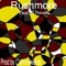 Rushmore (feat. D. Revell) - Bobo T lyrics